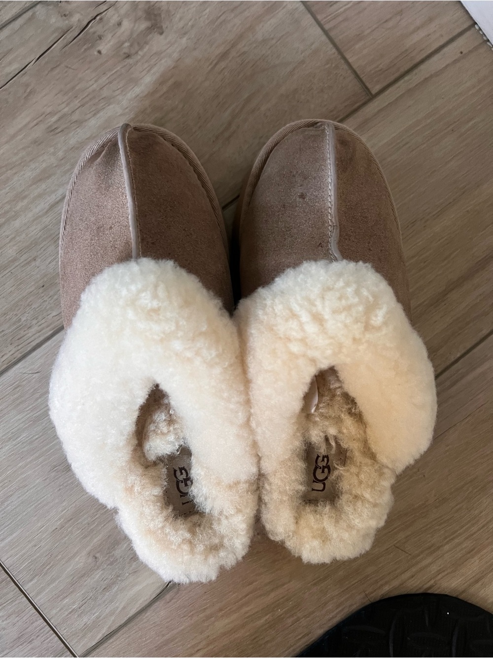 UGG Disquette Slippers